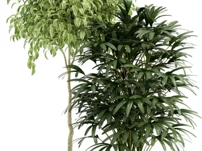 Plants collection 112 3D model