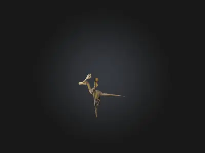 Wyvern Low-poly 3D model