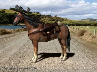 Brown horse with saddle and packs Low-poly 3D model