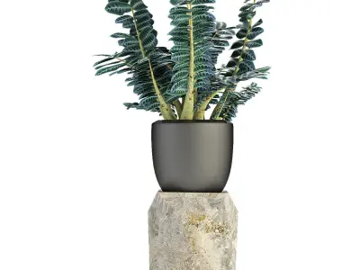 Plant in Pot Flowerpot Exotic Plant 3D model shop