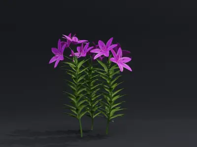Lilium Lily Plant Low-poly 3D model