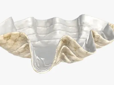 Clam shell bowl 3D model