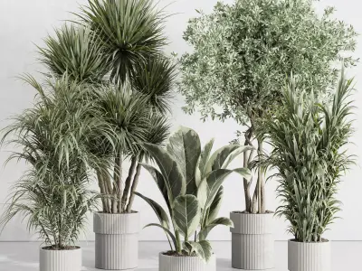 indoor plant set 414 plant ficus elastica tree palm bush Low-poly 3D model