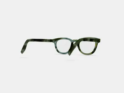Ainsley Low Bridge Fit Eyeglasses in Striped Cypress 3D model