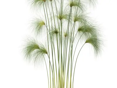 Plants collection 103 3D model