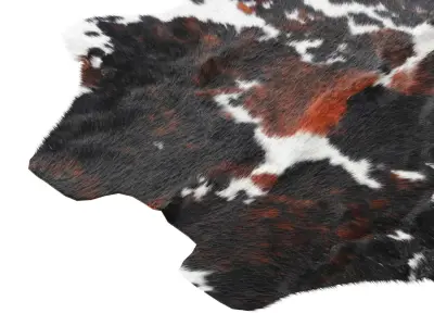 Tricolor Cowhide Rug A27123 3D model