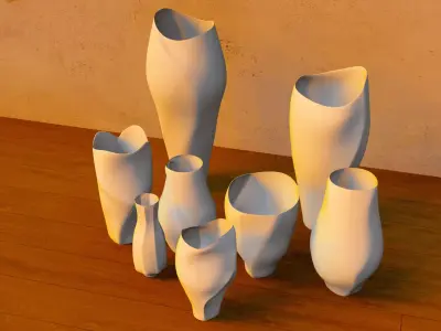 Modern Organic Vase Collection 8 Sculpted Decorative Vases Low-poly 3D model