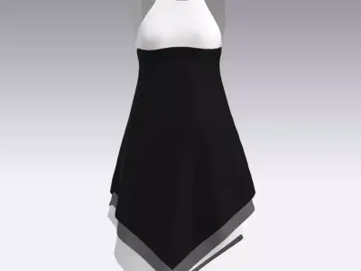 WIPE DRESS 3D model