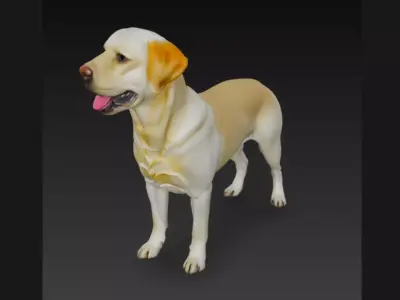 labrador Retriever Dog 3D Model 3D model