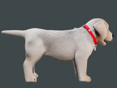 Cartoon Dog NoRig Low-poly 3D model