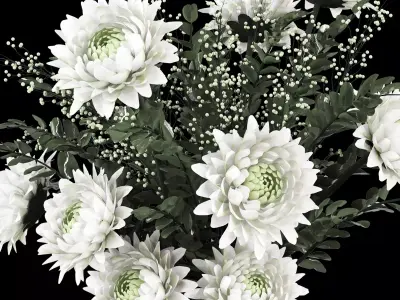 Bouquet Flower Plant Set Low-poly 3D model purchase