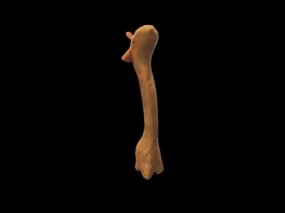 Giraffe Figurine Low-poly 3D model