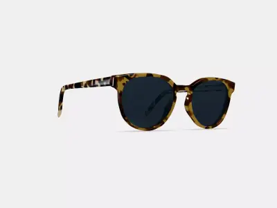 Wright Sunglasses in Walnut Tortoise 3D model
