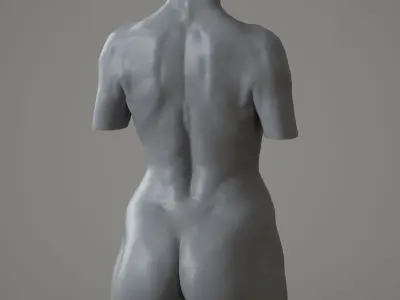 Female Torso - 3DPrintable model 3D print model