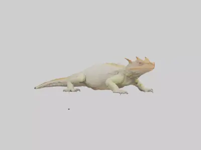 Horned Lizard basking model Low-poly 3D model
