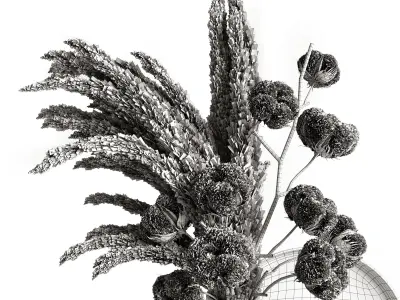 Decorative set with dry plants 5 3D model