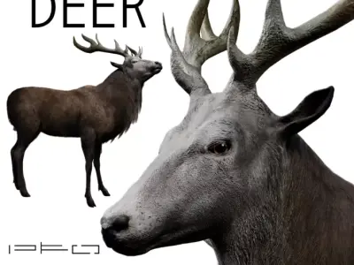 Deer Animal Low-poly 3D model