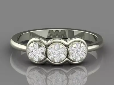 PRESSURE SETTING RING 09 3D print model