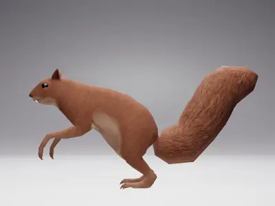 Low Poly Squirrel 3D model with texture and Rigg Low-poly 3D model