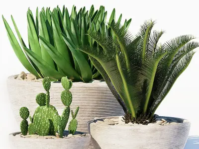 plants set 150 3D model