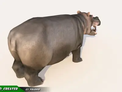 Lowpoly Hippopotamus Animated 3D model Low-poly 3D model