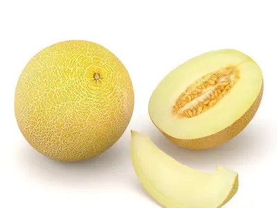 Galia melon 3D model