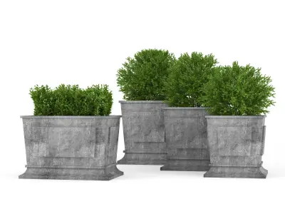 Boxwood four concrete planters with greenery 3D model