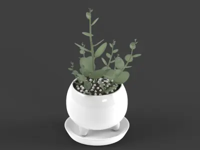 Xerosicyos danguyi Low-poly 3D model