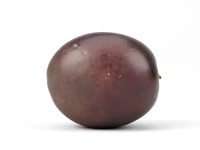 Photorealistic Passion Fruit 3D Scan 2 3D model