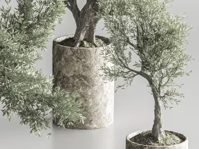 Bonsai collection set vol 02 3D model