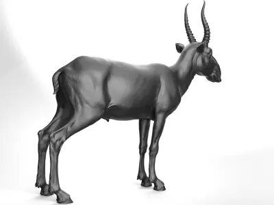 Saiga - TPose 3D model