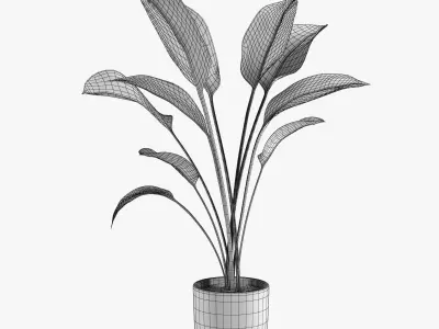 Pot Plant 20 3D model