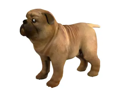 small dog bulldog  rig  high-poly  textured 3D model