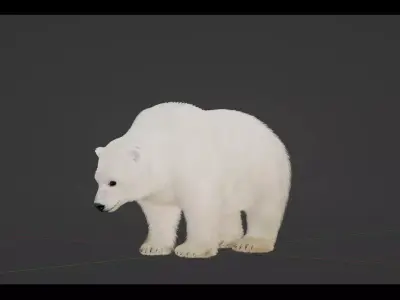 Polar Bear Low-poly 3D model 4