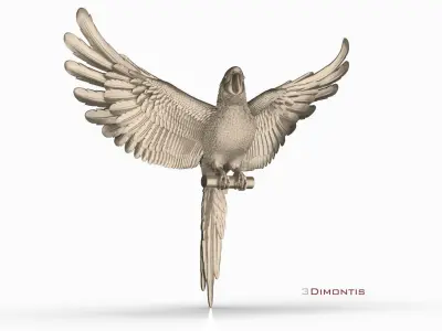 parrot  3D print model