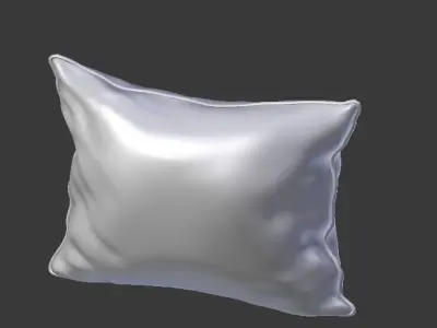 Piped Pillow 2 3D model