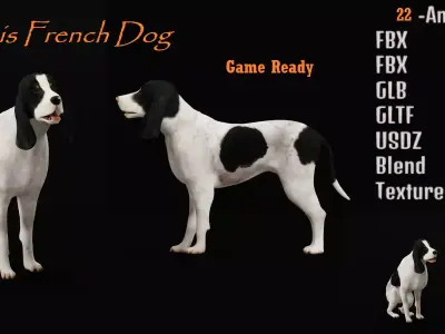 Ariegeois Dog Low-poly 3D model