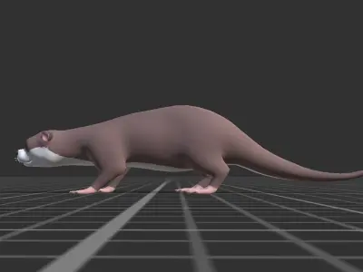 Cartoon Otter Low-poly 3D model