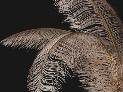 decorative set feathers wine 3D model