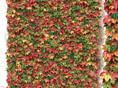Decorative wall of autumn leaves of grapes Low-poly 3D model