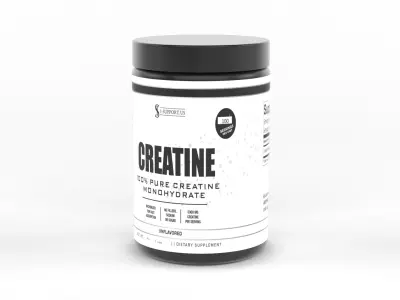Protein Powder 3D model 46