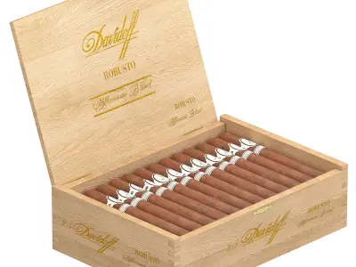 mavidoff millennium blend robusto box of 25 3D model