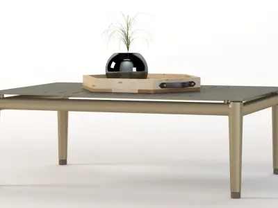 Conic Coffee Table with Centerpiece 3D model