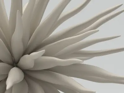 Decoration 08 Sea Urchin Free 3D model