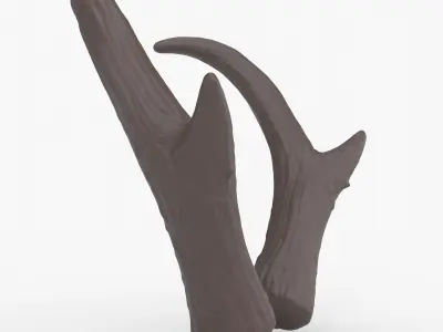 Pronghorn Horns - Sage 3D print model