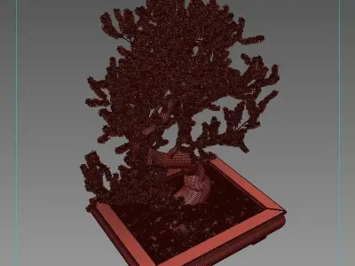 Sakura bonsai 3D model
