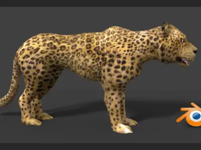 leopard cheetah 3D model