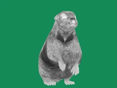 Groundhog Marmots Low-poly 3D model