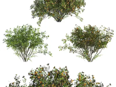 3 bushes 3D model