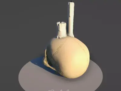Skull Candle Low-poly 3D model purchase